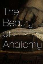 Watch The Beauty of Anatomy Vidbull