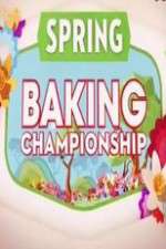 Watch Spring Baking Championship Vidbull