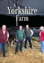 A Yorkshire Farm vidbull