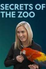 Watch Secrets of the Zoo Vidbull