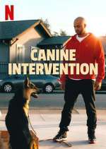 Watch Canine Intervention Vidbull