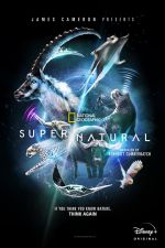 Watch Super/Natural Vidbull