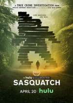 Watch Sasquatch Vidbull