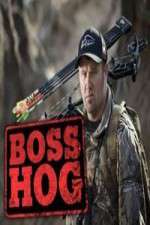 Watch Boss Hog Vidbull