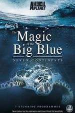 Watch The Magic of the Big Blue Vidbull