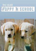 Watch Dog Squad: Puppy School Vidbull