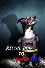 Watch Rescue Dog to Super Dog Vidbull
