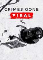 Crimes Gone Viral vidbull