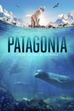 Watch Patagonia: Life on the Edge of the World Vidbull