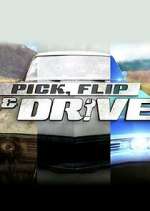 Watch Pick, Flip & Drive Vidbull