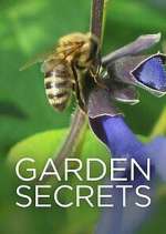 Watch Garden Secrets Vidbull
