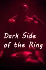 Dark Side of the Ring vidbull