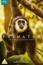 Watch Primates Vidbull