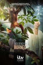 Watch Judi Dench\'s Wild Borneo Adventure Vidbull