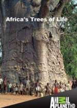 Watch Africa's Trees of Life Vidbull
