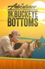 Watch The Adventures of Dr. Buckeye Bottoms Vidbull