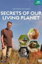 Watch Secrets of Our Living Planet Vidbull