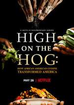 Watch High on the Hog: How African American Cuisine Transformed America Vidbull