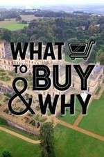 Watch What to Buy & Why Vidbull