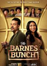 Watch The Barnes Bunch Vidbull