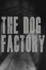 Watch The Dog Factory Vidbull