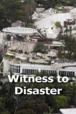 Watch Witness to Disaster Vidbull