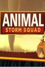 Watch Animal Storm Squad Vidbull