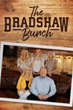 Watch The Bradshaw Bunch Vidbull