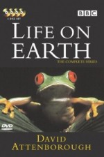 Watch Life on Earth Vidbull
