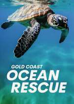 Watch Gold Coast Ocean Rescue Vidbull