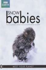 Watch Snow Babies Vidbull