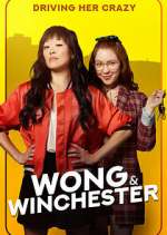 Watch Wong & Winchester Vidbull