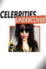Watch Celebrities Undercover Vidbull