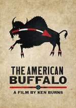 Watch The American Buffalo Vidbull